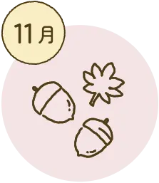 11月