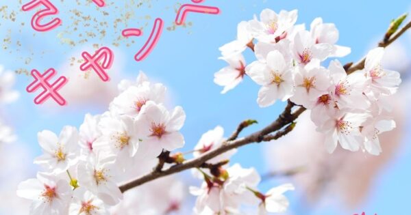 ☆さくら咲くキャンペーン開催☆のアイキャッチ
